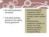 J. Biliūno apysaka „Liūdna pasaka“ - Lietuvos istorijos liudijimas 12 puslapis