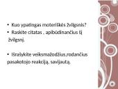 J. Biliūno apysaka „Liūdna pasaka“ - Lietuvos istorijos liudijimas 9 puslapis