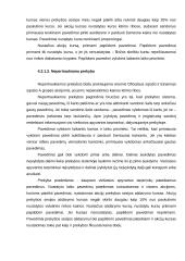 Vertybinių popierių rinka bei jos bruožai 15 puslapis