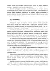 Vertybinių popierių rinka bei jos bruožai 17 puslapis