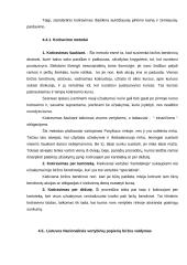 Vertybinių popierių rinka bei jos bruožai 20 puslapis