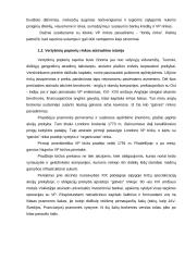 Vertybinių popierių rinka bei jos bruožai 3 puslapis