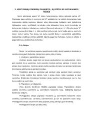 Vertybinių popierių rinka bei jos bruožai 4 puslapis