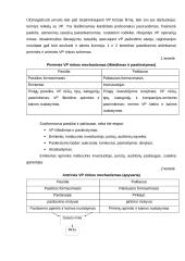 Vertybinių popierių rinka bei jos bruožai 7 puslapis