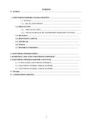 Vertybiniai popieriai bei jų reikšmė Lietuvoje 2 puslapis