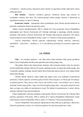 Vertybiniai popieriai bei jų reikšmė Lietuvoje 11 puslapis