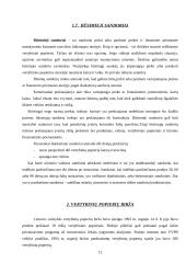 Vertybiniai popieriai bei jų reikšmė Lietuvoje 12 puslapis