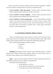 Vertybiniai popieriai bei jų reikšmė Lietuvoje 15 puslapis