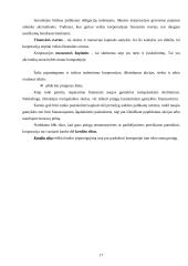 Vertybiniai popieriai bei jų reikšmė Lietuvoje 17 puslapis