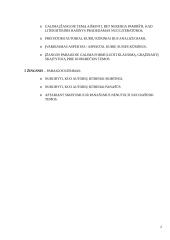 Literatūrinio rašinio kūrimas. 5 žingsniai  2 puslapis