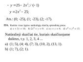Lygtys su dviem nežinomaisiais 11 puslapis