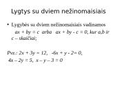 Lygtys su dviem nežinomaisiais 3 puslapis