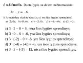 Lygtys su dviem nežinomaisiais 4 puslapis