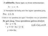 Lygtys su dviem nežinomaisiais 5 puslapis