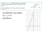Lygtys su dviem nežinomaisiais 6 puslapis