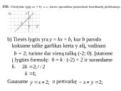 Lygtis su dviem nežinomaisiais 9 puslapis