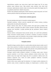 Vertybinių popierių biržos ir jų veikla Lietuvoje 11 puslapis