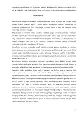 Vertybinių popierių biržos ir jų veikla Lietuvoje 12 puslapis