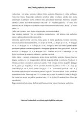 Vertybinių popierių biržos ir jų veikla Lietuvoje 14 puslapis