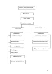Vertybinių popierių biržos ir jų veikla Lietuvoje 16 puslapis