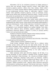 Finansų ir vertybinių popierių rinkos 19 puslapis