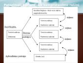 Pasiruošimas samprotavimo rašiniui 14 puslapis
