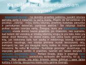 Pasiruošimas samprotavimo rašiniui 17 puslapis