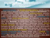 Pasiruošimas samprotavimo rašiniui 18 puslapis