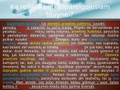 Pasiruošimas samprotavimo rašiniui 19 puslapis