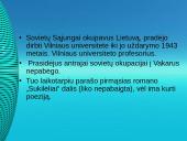 Vinco Mykolaičio-Putino gyvenimo ir kūrybos akiračiai 13 puslapis