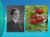 Vinco Mykolaičio-Putino gyvenimo ir kūrybos akiračiai 3 puslapis