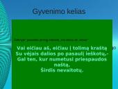 Vinco Mykolaičio-Putino gyvenimo ir kūrybos akiračiai 5 puslapis