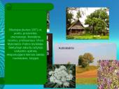 Vinco Mykolaičio-Putino gyvenimo ir kūrybos akiračiai 7 puslapis