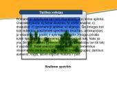 Romantizmas ir realizmas literatūroje 12 puslapis