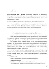 Vestuvių pobūvio organizavimas ir etiketas 5 puslapis