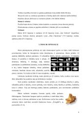 Vestuvių pobūvio organizavimas ir etiketas 6 puslapis