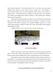 Vestuvių pobūvio organizavimas ir etiketas 8 puslapis