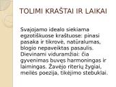 Romantizmas (tautinio atgimimo epocha) 11 puslapis