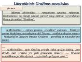 Ruošiamės literatūriniam rašiniui  3 puslapis