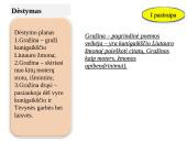 Ruošiamės literatūriniam rašiniui  4 puslapis