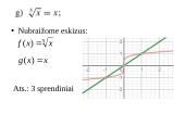 Šaknies funkcijos 17 puslapis