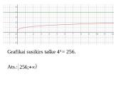 Šaknies funkcijos 19 puslapis
