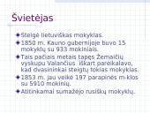 Literatūra tarnauja gyvenimui: Motiejus Valančius 15 puslapis