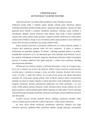 Vidinė aplinka ir jos vertinimas:  invalidų vežimėlius gaminančios AB "Puntukas" 17 puslapis