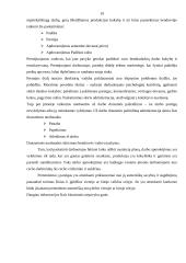 Vidinė aplinka ir jos vertinimas:  invalidų vežimėlius gaminančios AB "Puntukas" 19 puslapis