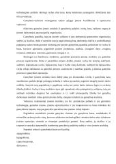 Vidinė aplinka ir jos vertinimas:  invalidų vežimėlius gaminančios AB "Puntukas" 7 puslapis
