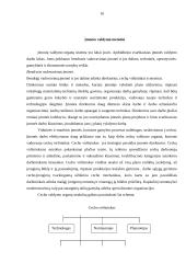 Vidinė aplinka ir jos vertinimas:  invalidų vežimėlius gaminančios AB "Puntukas" 10 puslapis