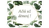 Floragyn silver, Clogin putos, Farmactive silver 12 puslapis