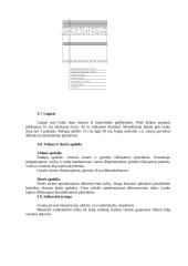 Vieno aukšto 4 kambarių gyvenamasis namas 8 puslapis