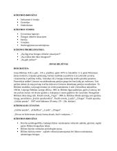 Lietuvių k. autoriai egzaminui 5 puslapis